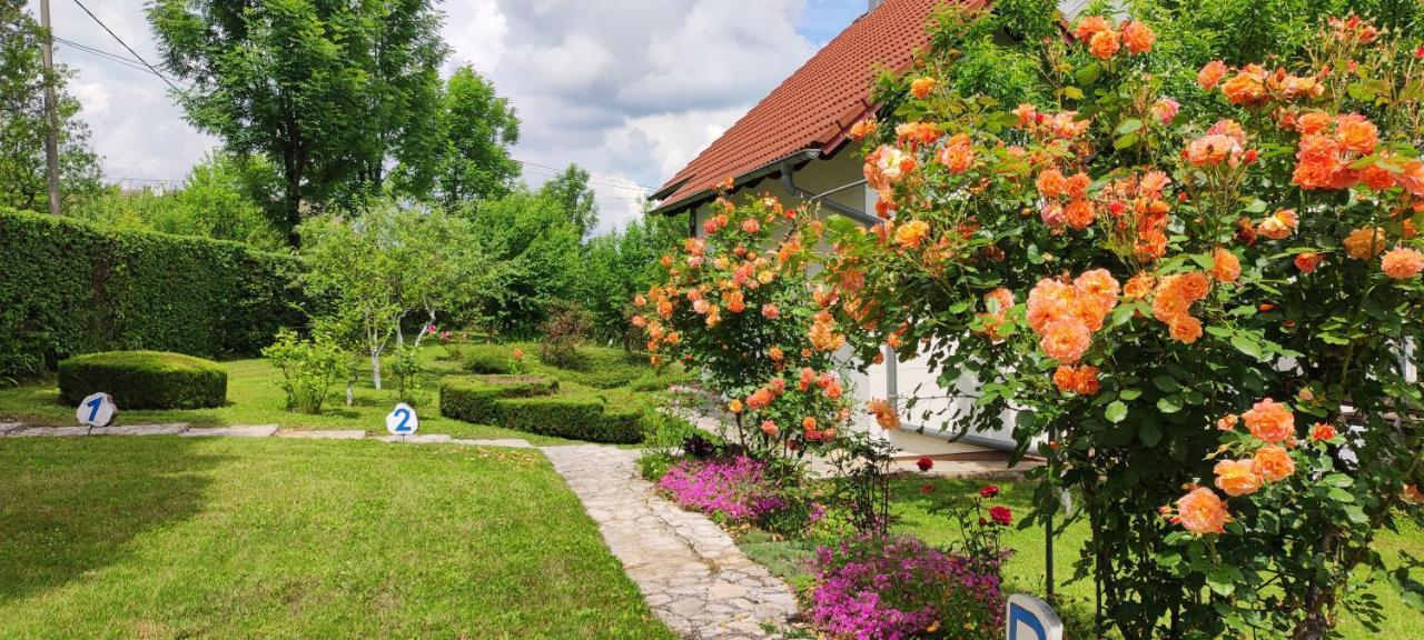 Guest House Kolic Dreznik Grad Bagian luar foto